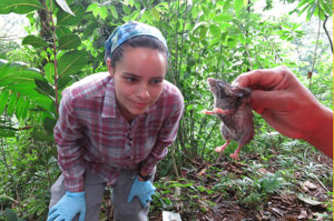 Graduate student Beatriz Otero-Jimenez examines a new specimen. (Photo Credit: William Foreman)