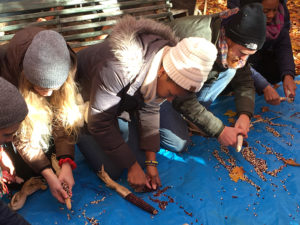 Students learn the most efficient ways remove kernels from the cob. 