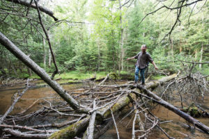 U-M graduate student Corbin Kuntze crosses a river while heading into the forest to install cameras at the Biological Station.