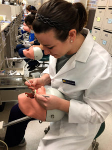 Dental student Christine Uggeri performing dental procedure on model of human head