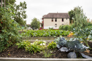 A view of a garden in the foreground, and a small house in the background on a cloudy day.