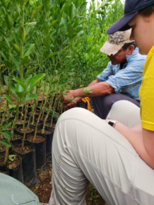 Two people examine 30 plants in pots.