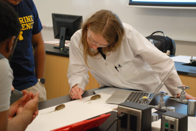 Lecturer leans over desk to point at mouse specimen while two students look on.